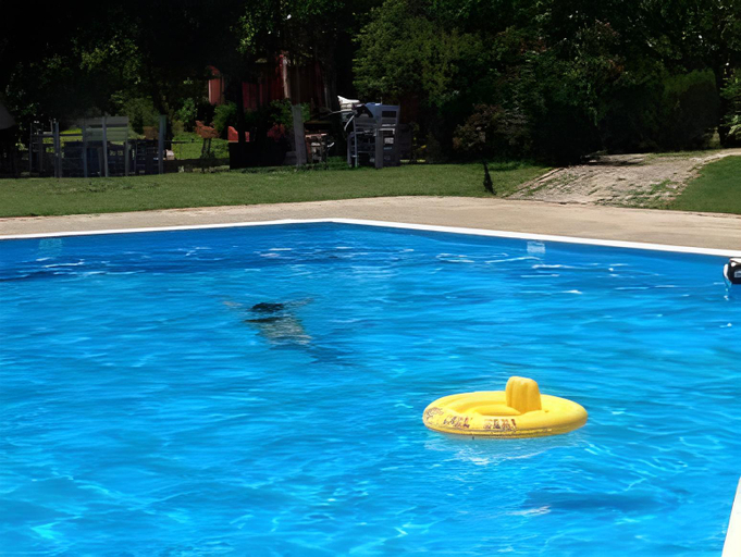 Sport & Beauty 5, Dendrolivano, Ionian Islands