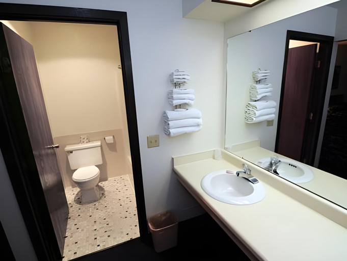 Bathroom 4, Thunderbird Motor Inn, Sauk