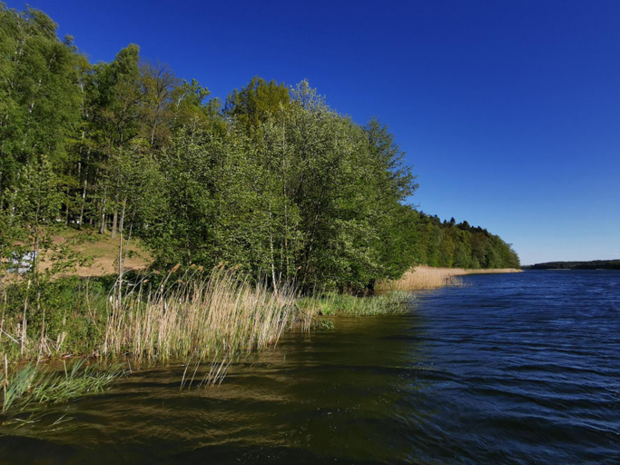 Others 5, Nova Mazury, Kętrzyn