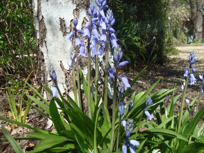 Scenery 3