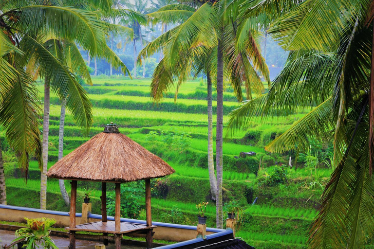 Scenery 3