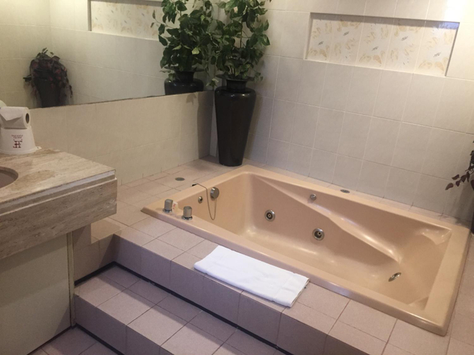 Bathroom 4, Hotel Fleming, Mexico City