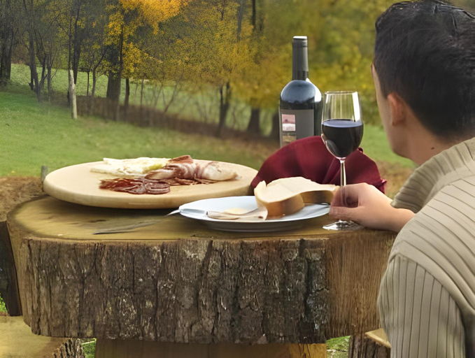 Food & Drinks 4, Hotel Srakovcic Heart of Nature, Ribnik