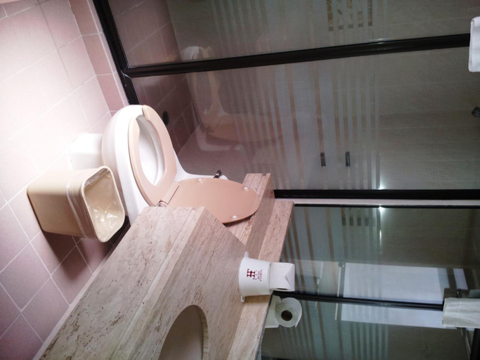 Bathroom 3, Hotel Fleming, Mexico City