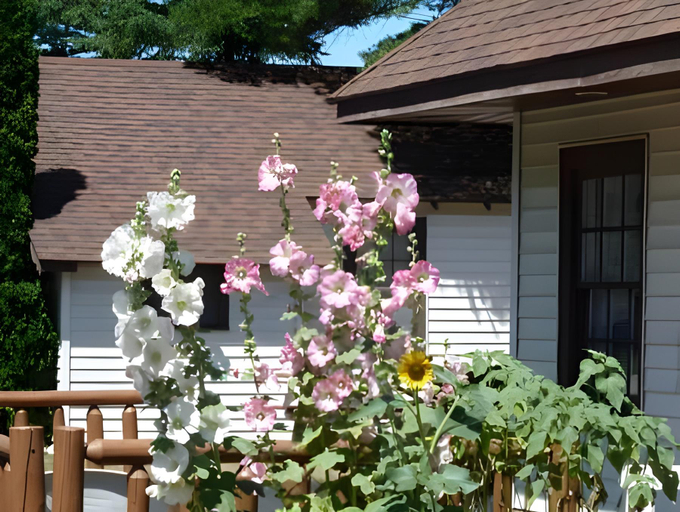 Others 4, Beach House Lakeside Cottages, Cheboygan