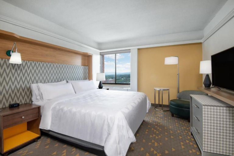 Holiday Inn Express & Suites PITTSFIELD - BERKSHIRES Room Type - 1 King Suite Mobility Accessible Roll In Shower