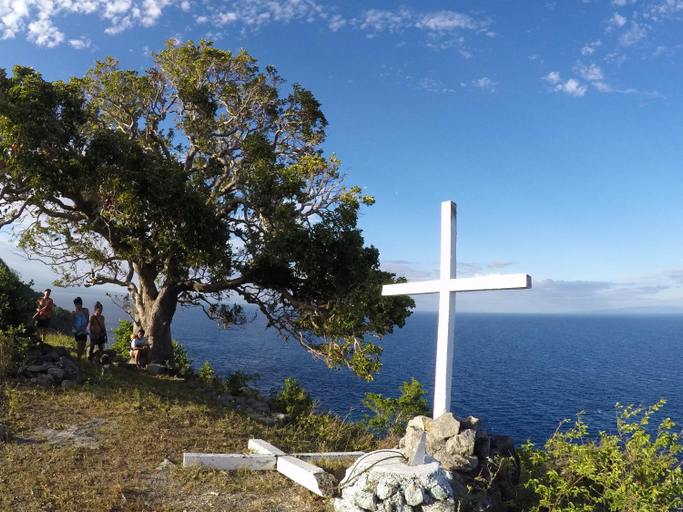 Others 5, Liberty's Lodge and Diving - Apo Island, Dauin