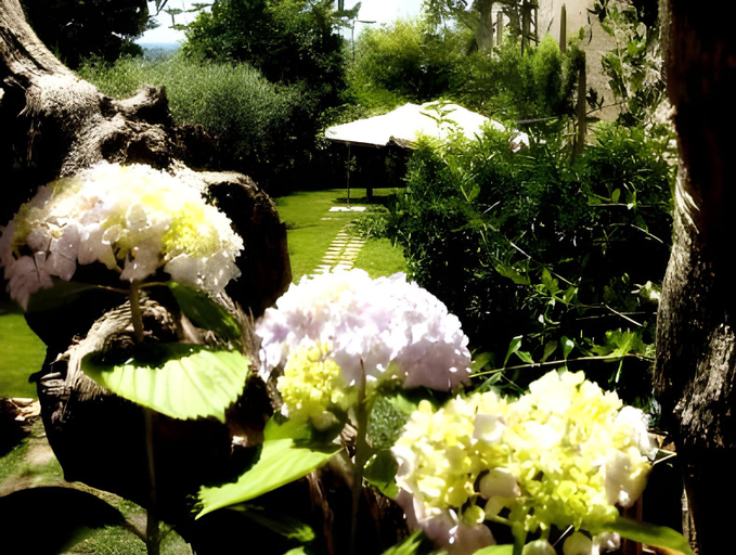 Others 2, Locanda Delle Mura Anna De Croy, Grosseto