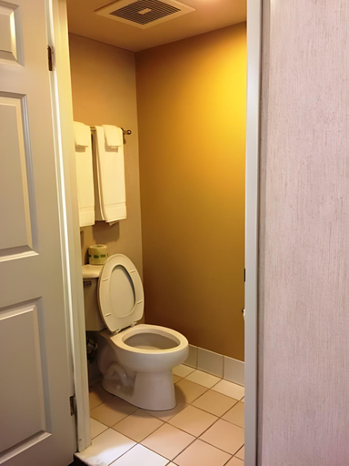 Bathroom 4, Spark By Hilton Lynchburg, Lynchburg