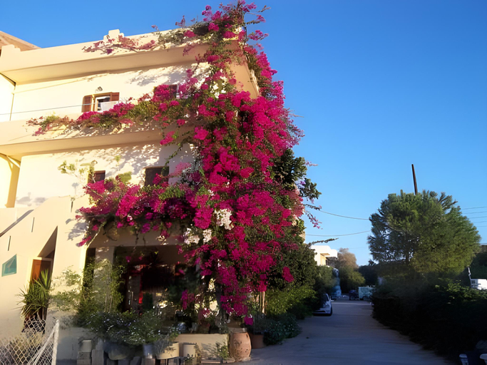 Exterior & Views 3, Knossos Hotel, Faistos