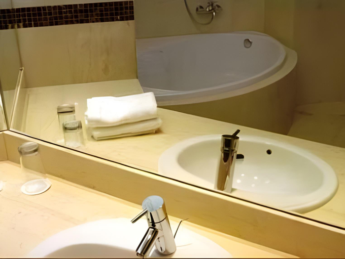 Bathroom 4, Davitel Tobacco Hotel, Central Macedonia
