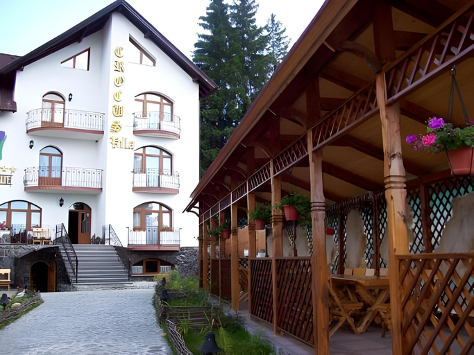 Others 5, Pensiunea Crocus - Sauna & Billiard, Brasov