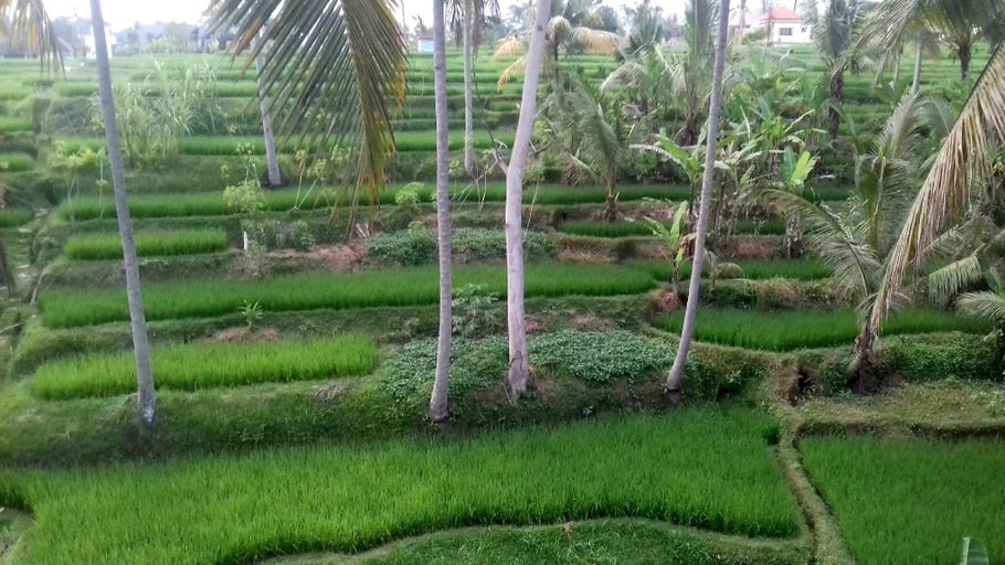 Scenery 12