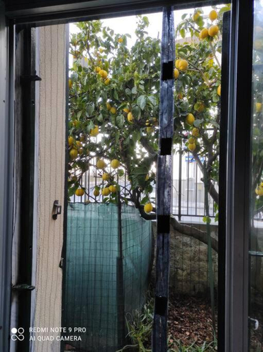 1, Popi al mare in villa con giardino e wifi, Genova