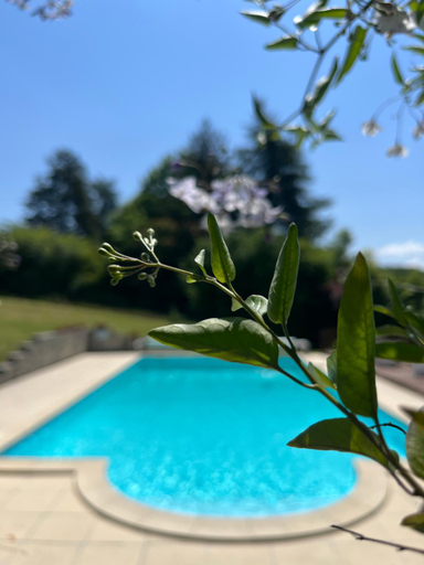 Sport & Beauty, La Colline de Tilleul - Les Tilleuls - 4 STAR RATED - stunning cottage with pool near Aubeterre in i, Charente