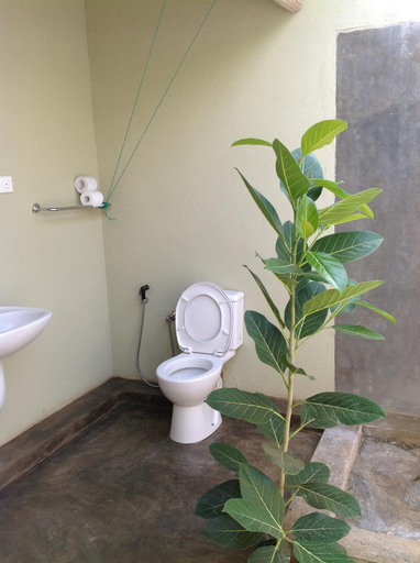 Bathroom, Wild Escape, Buttala