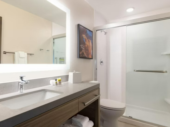 Bathroom 5, Candlewood Suites PECOS by IHG, Reeves
