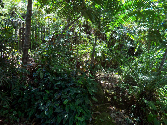Others 3, Laguna, Guarujá