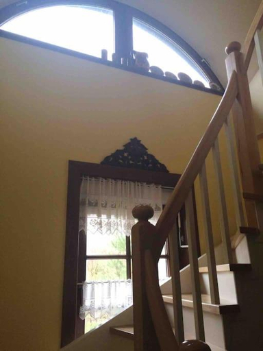 3, Komfortowy dom w lesie, Nowy Tomyśl
