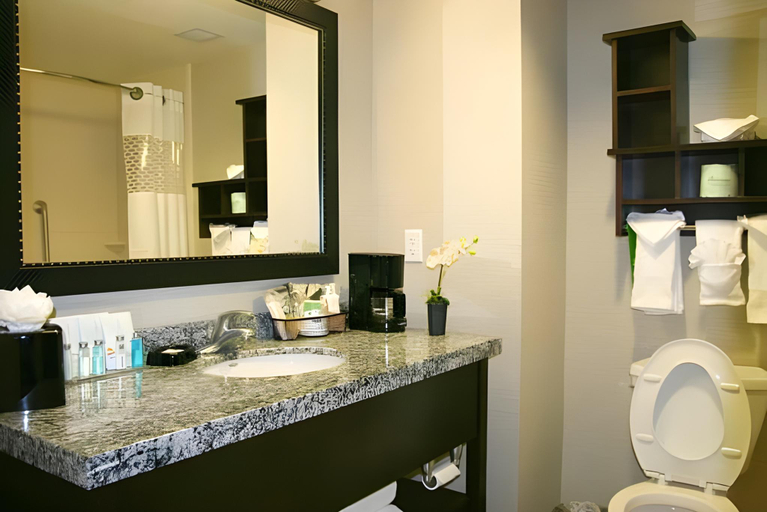 Bathroom 3, Hampton Inn & Suites Salt Lake City/University-Foothill Dr., Salt Lake