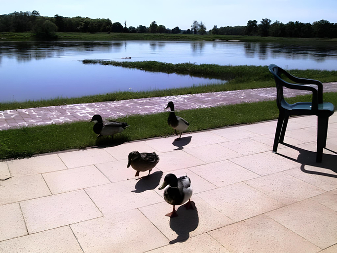 Others 4, Elbterrassen zu Brambach, Dessau-Roßlau