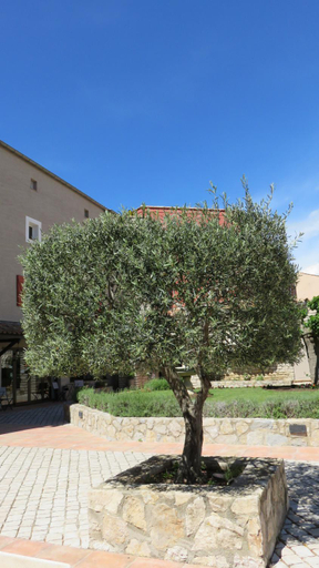 Exterior & Views 2, Auberge Des Salles, Var