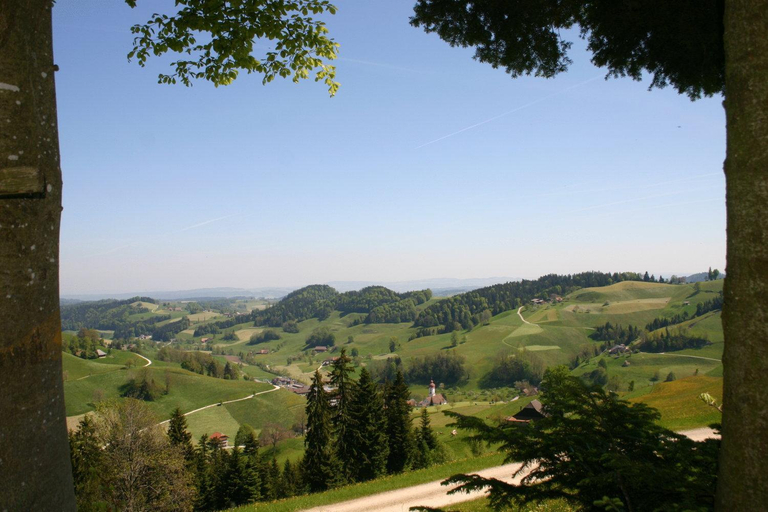 Scenery 8