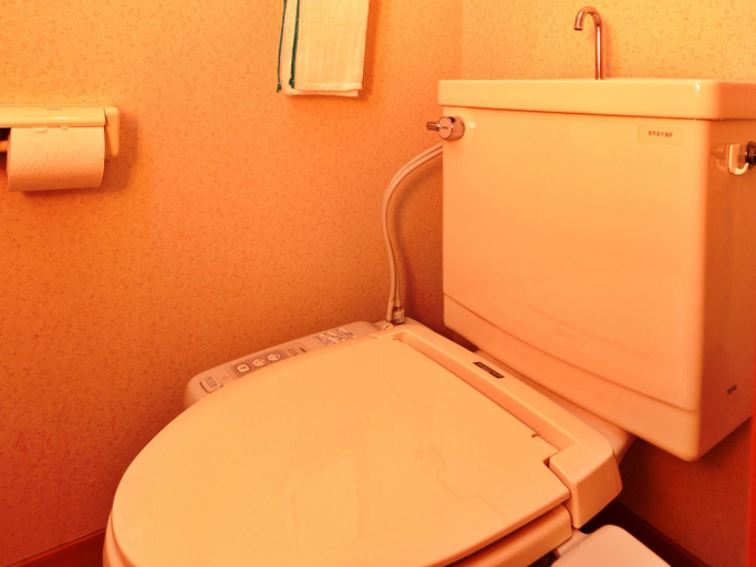 Bathroom 2, Yunohirakan, Takayama