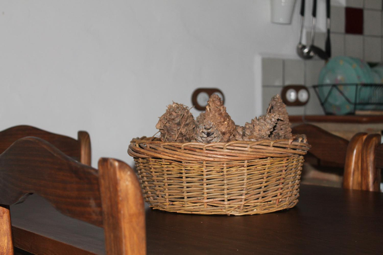 Others 5, Finca El Chaparral, Huelva