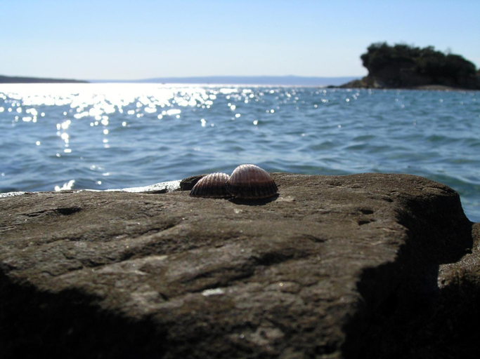Others 5, Rab Elizabeta rooms first line to the sea, Lopar/Supetarska Draga