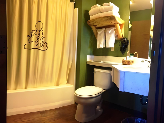 Bathroom 4, Stoney Creek Hotel Quad Cities - Moline, Rock Island