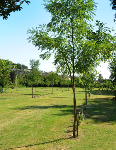 Others 3, Parco delle Piscine, Siena