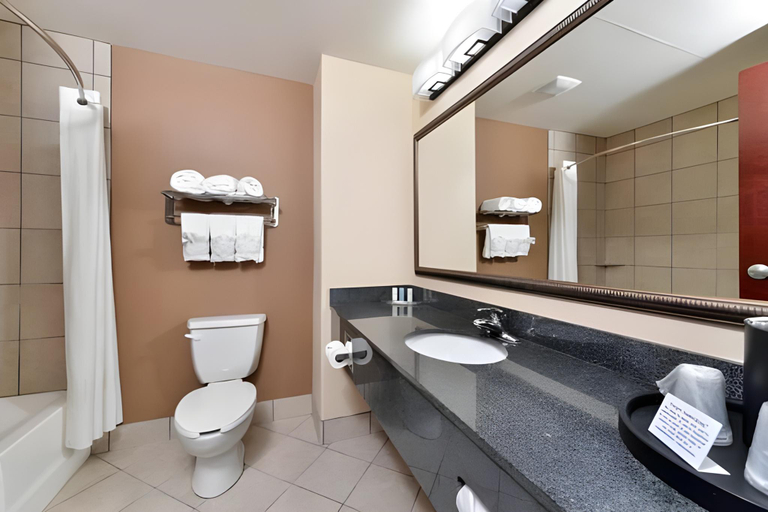 Bathroom 4, Comfort Suites Ennis, Ellis
