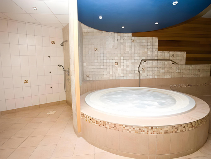 Bathroom 3, Logis Hotel Le Bois Dormant-Hotel Restaurant & Spa, Jura