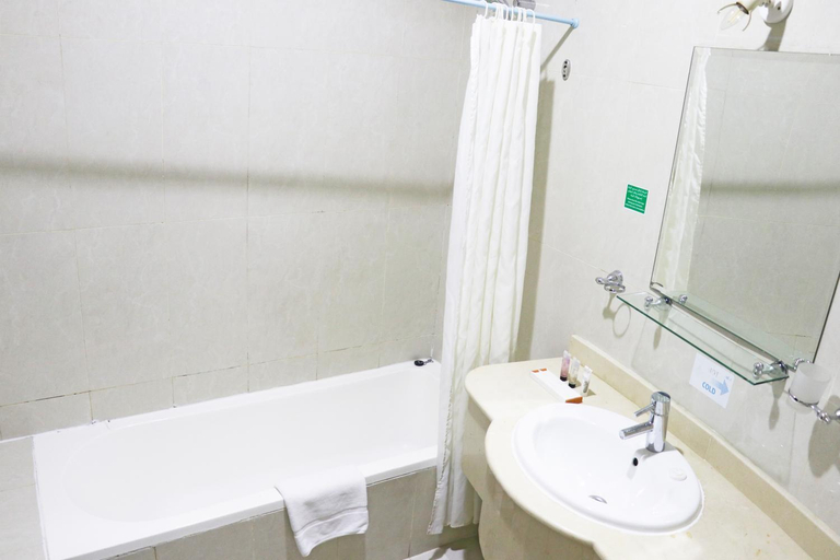 Bathroom 4, Chairmen Hotel, Doha