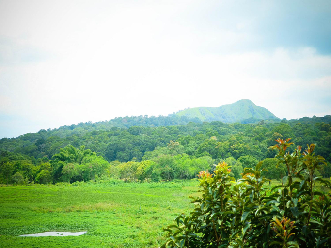 Scenery 6