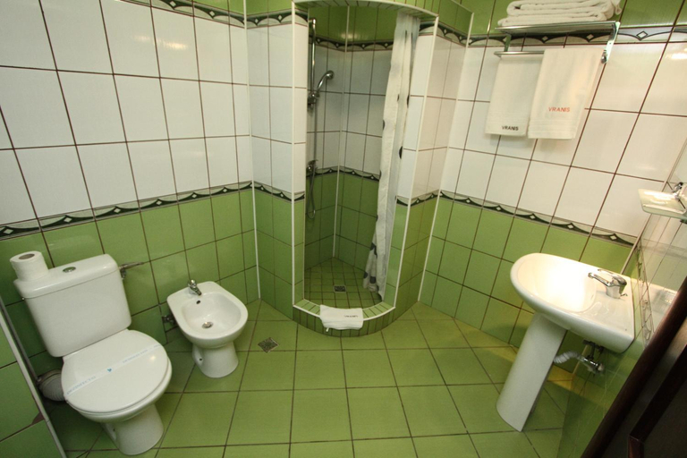 Bathroom 2, Pensiunea Vranis, Campulung Moldovenesc