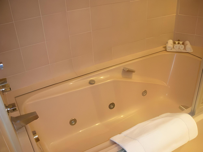 Bathroom 4, Hotel Metropol, Mexico City