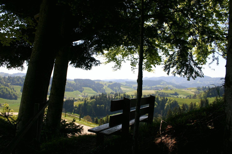 Scenery 7