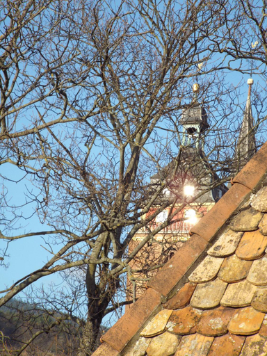 Exterior & Views 5, Ferienwohnung Mittendrin, Neustadt an der Weinstraße