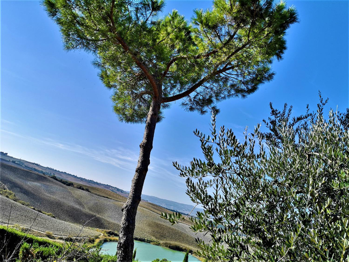 Others 3, Agriturismo Palazzo Conti - B, Siena