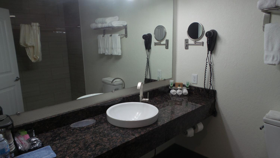 Bathroom, Budget Inn Palmyra, Marion