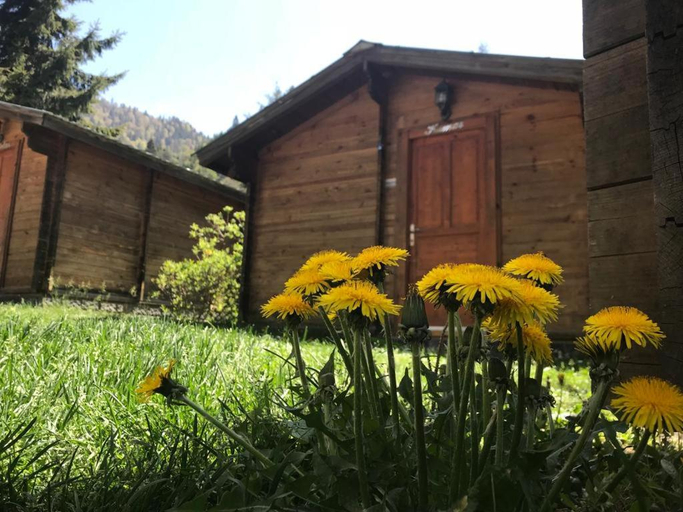 Others 3, Kardelen Bungalov Evleri, Ardeşen