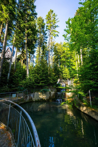 Others 5, Hotel Smart, Sinaia