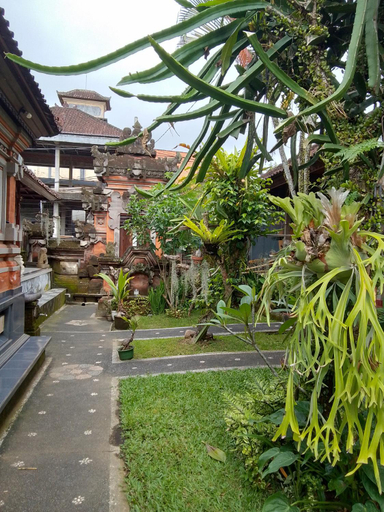 Scenery 13