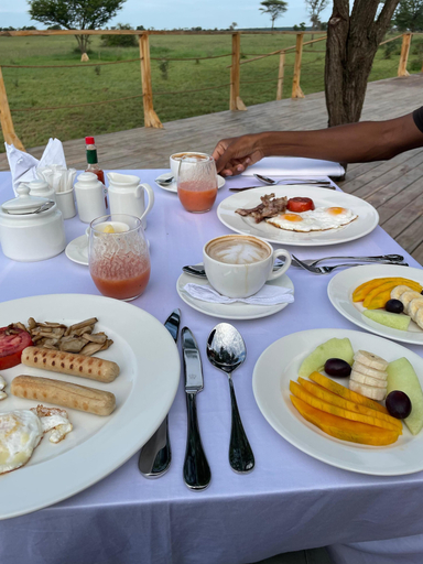 Food & Drinks 4, Conserve Safari Serengeti, Serengeti