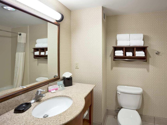 Bathroom 4, Hampton Inn & Suites-Dallas Allen, Collin
