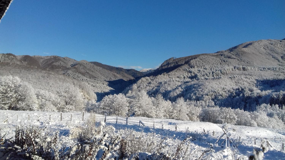 Others 2, Valea Doamnei, Nucsoara