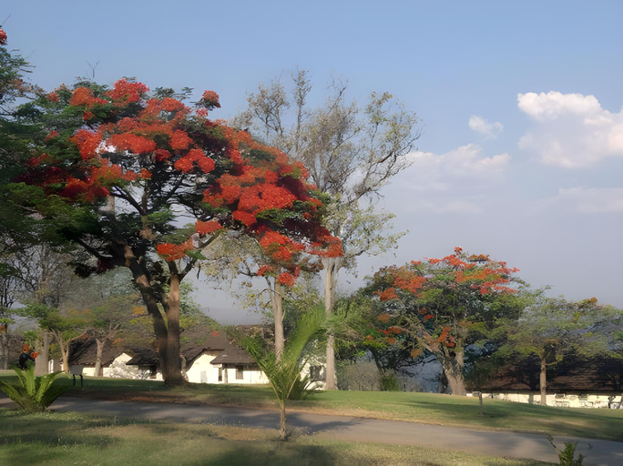Others 3, Cutty Sark Hotel, Kariba