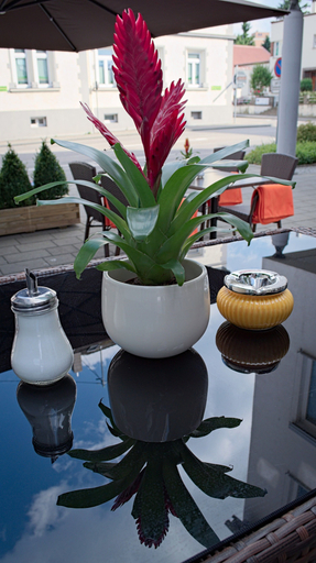 Food & Drinks 5, Sternplatz Hotel, Alb-Donau-Kreis